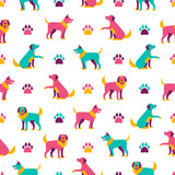 Fototapeta Dinusie - Seamless pattern with dogs and paws