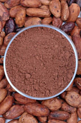 Wall Mural - Cocoa powder in a bowl with beans on table