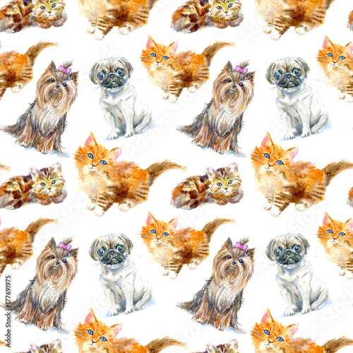 bezszwowy-wzor-mopsa-pies-yorkshire-terrier-i-imbirowa-figlarka-kartka-z-pozdrowieniami-kot-i-pies-zwierze-domowe-reka-akwarela