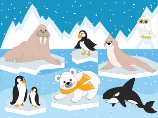 Wall Mural - Vector Set of Arctic Animals and Birds