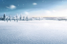 Landscape Of Snowy Field With Frozen Trees