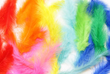Multicolored (yellow, Blue, Red) Feathers On A White Background