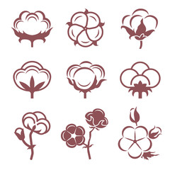 Wall Mural - monochrome stylized pictures set of white cotton flowers. vector illustrations set