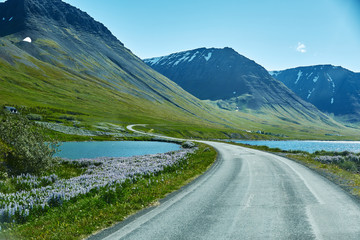 Wall Mural - Travel to Iceland. beautiful sunrise over the ocean and fjord in Iceland. Icelandic landscape with mountains, blue sky and green grass on the foreground. View of the road in the north-west of Iceland