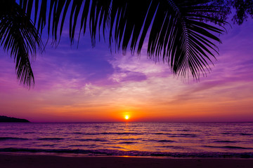 Wall Mural - Palm trees silhouette at sunset. sunset and beach. Beautiful sunset above the sea