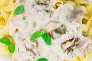 Wall Mural - Porcini pasta on wooden background; selective focus