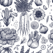 Autumn Vegetables Seamless Pattern. Handsketched Vintage Vegetables. Line Art Illustration. Vector Illustration