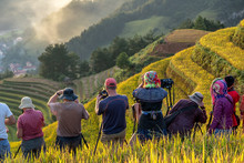 Undefined Traveler Taking Photograph Over The Rice Fields On Terraced Of Mu Cang Chai District, YenBai Province, Northwest Vietnam