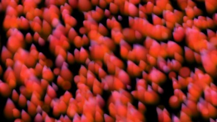 Poster - romantic background. Red particles move down.