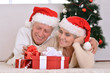 © aletia2011 - couple  celebrating Christmas at home.