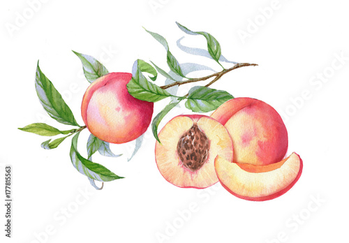 Tattoo Sketches For Females