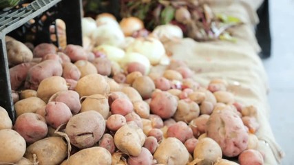 Sticker - Fresh organic potatoes at the local Farmer's Market