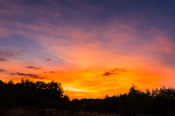 Poster - Beautiful vibrant sunset above a forest