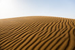 Thar Desert 1