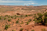 Fototapeta Sawanna - Dry Fork of Coyote Gulch on Kaiparowits Plateau from  Dry Fork trailhead
Hole in the Rock Road, Grand Staircase Escalante National Monument, Garfield County, Utah, USA