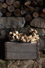 Gardening: Garlic Braid On Old Wooden Crate