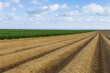 © sergiymolchenko - Plowed agricultural fields prepared for planting crops in Norman