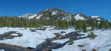 Snow Covered Landscape Near Yosemite National Park 