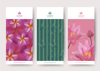 Wall Mural - Branding Packaging lotus and frangipani flower and bamboo tree abstract background, logo banner voucher, vector illustration