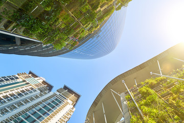 Wall Mural - Panoramic and perspective wide angle view of steel and glass city buildings with clear sky and green background . Kuala Lumpur , Malaysia .