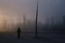 Man Stands Alone Is A Spooky Forest