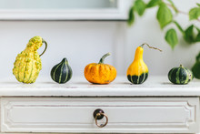Colourful Squash On Wooden White Table