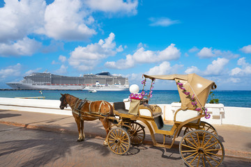  Cozumel island horse carriage and cruise