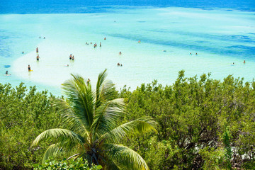 Wall Mural - Bahia Honda State Park - Calusa Beach, Florida Keys - tropical coast with paradise beaches - USA