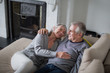 © ReeldealHD images - Senior couple relaxing on sofa