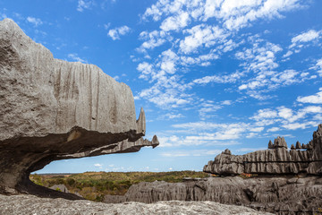 Wall Mural - The great Tsingy de Bemaraha