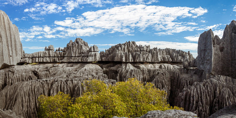 Wall Mural - The great Tsingy de Bemaraha