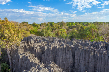 Wall Mural - Small Tsingy de Bemaraha, Madagascar