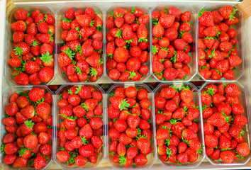 stock de fraises