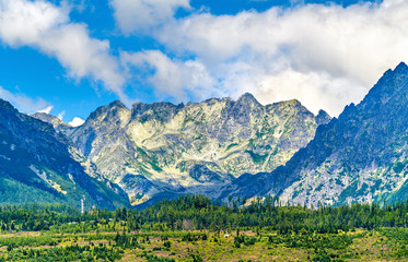 Wall Mural - View of the High Tatra Mountains in Slovakia