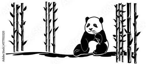 panda-pomiedzy-bambusami