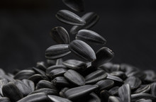 Black Sunflower Seeds, Close-up On Dark Background