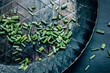 © Claudia Lommel / Creative Studio/Stocksy - Chopped Chives in a Wrought-Iron Skillet