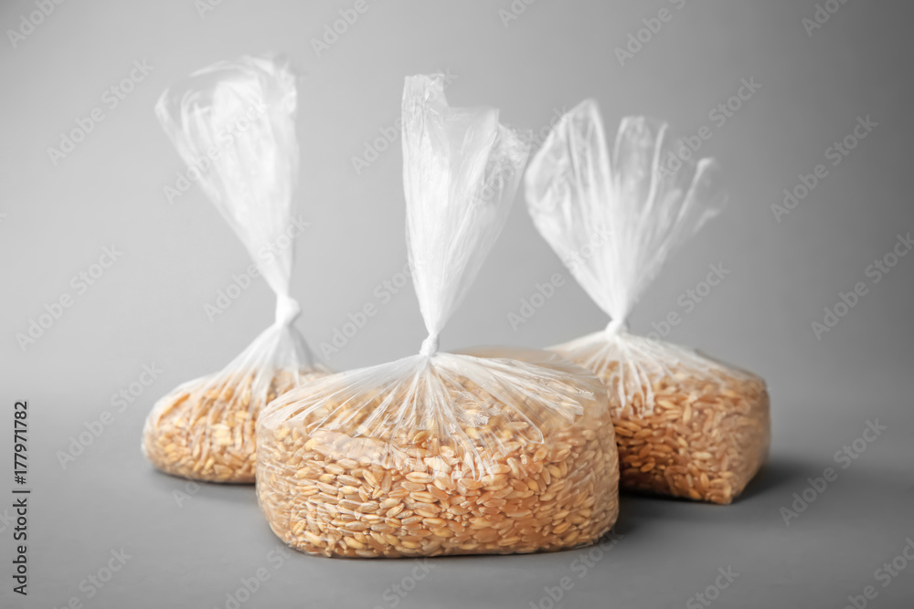 Wheat grass seeds in bags on grey background