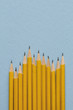 © David Smart/Stocksy - Sharpened yellow pencils used to represent bars in a graph