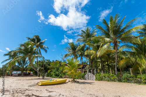 Plakat Tropikalna wyspa z kokosowymi drzewami - Boipeba Bahia