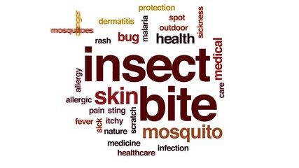 Poster - Insect bite animated word cloud, text design animation.