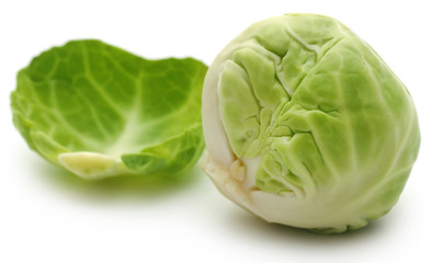 Wall Mural - Rosenkohl or Brussels sprout