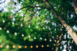 © Punch Photographic/Stocksy - string lights on a tree in summer