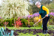 Woman farmer working in the garden, gardener fertilizing the soil with a natural fertilizer, organic farming concept