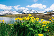 Flowers with mountain lake panorama above Aros