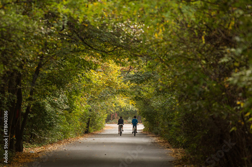 Zdjęcie XXL Dwaj przyjaciele na rowerze w pięknej alei na jesień czas