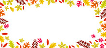 Beautiful Autumn Leaves Frame With Copy Space Vector