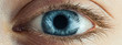 Leinwandbild Motiv Female Blue Eye With Long Lashes Close Up. Human Eye Macro Detail.