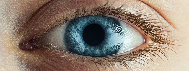 female blue eye with long lashes close up. human eye macro detail.