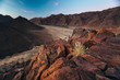 © Micky Wiswedel/Stocksy - desert plant on a mountain overlooking a valley and the Orange River
